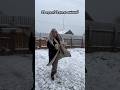 Вот и тулупчик выгуляю! Метет снежок!