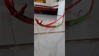 Ghe Ngo Điên Điển