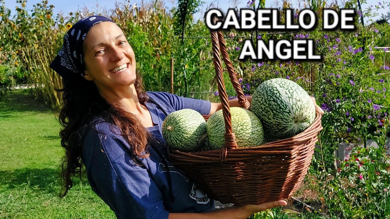 CABELLO DE ANGEL 🍰 || {NUSKA}