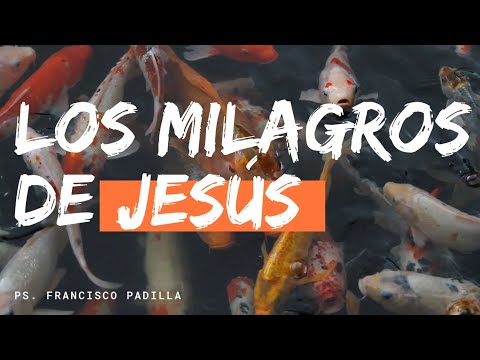 271. El Cordero De Dios. |Ps. Francisco Padilla | Los Milagros De Jesus.