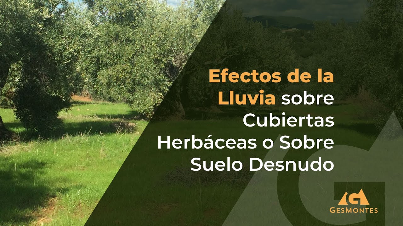 Efectos de la Lluvia sobre Cubiertas Herbáceas o Sobre Suelo Desnudo