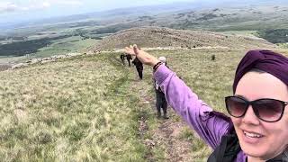 Cerro Providencia/Estancia las Vertientes/Provincia de Buenos Aires /Argentina  Flora y fauna