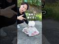 もぎたて鹿革で1200年前の球体作る