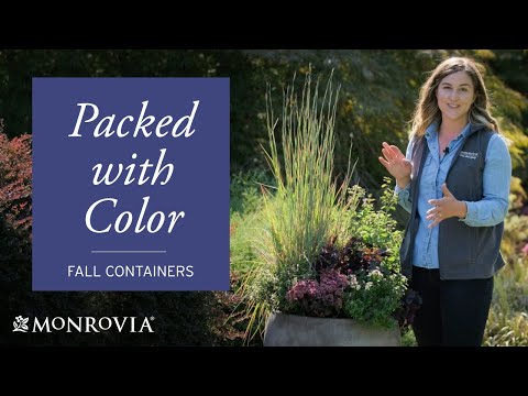 Container Garden for Fall | Packed with Color