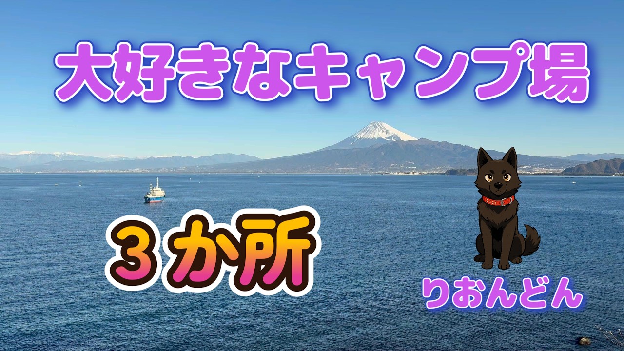 甲斐犬りおん どんの日常