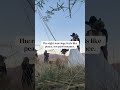 photographer