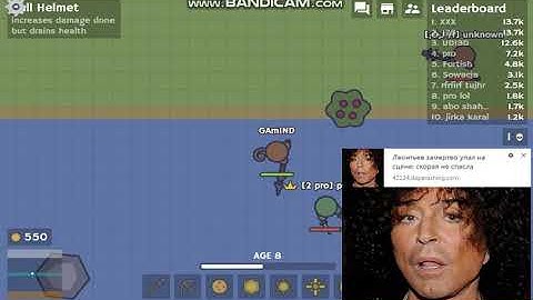 Moo Moo.io NOOB VS PRO VS HACKER