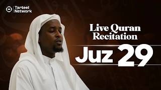 Juz 29 | Melodious Quran Recitation | Peaceful Sleep & Protection | جزء تبارك