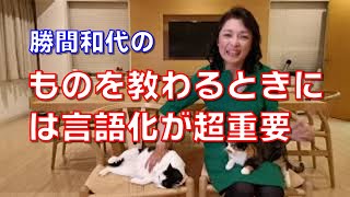 ものを教わるときには言語化が超重要。とにかく先生は自分と言語が通じる人にすることがコツです