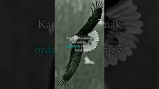 Kartallarla Uçmak Istiyorsan, Ördeklerle Yüzmeyi Bırak