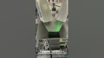 Bag-feeding Packing Machine