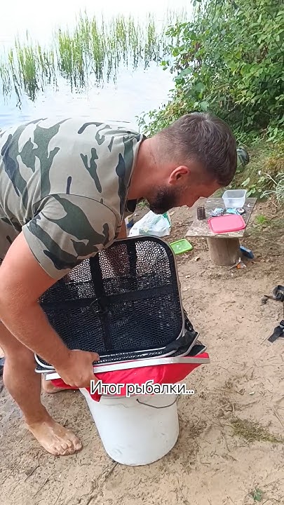 #рыбалка #итоги #улов #fishing #бершты #подлещик - YouTube