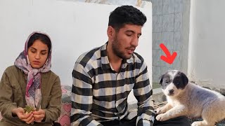 Rahmat’s Departure Is Final – How Is Tommy Doing? 😢🐶