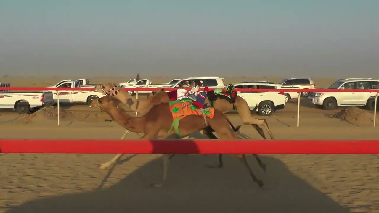 انتباه/ سالم محمد راشد الدرعي 2.17.85 (ميدان سيح العراد)