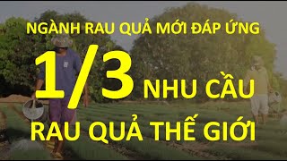 NGÀNH RAU QUẢ MỚI ĐÁP ỨNG1/3 NHU CẦU RAU QUẢ THẾ GIỚI/EAST-WEST SEED (HAI MŨI TÊN ĐỎ)