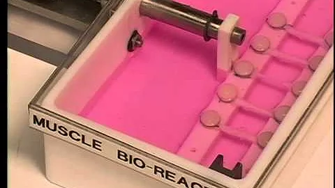 DR ANTHONY ATALA - Making 3D Organs, Body Parts, Printing Technologies and More (Version 2)