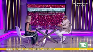 Erbe medicali: redberry selvaggio, la forza e l'energia a qualsiasi età - 21.08.2025