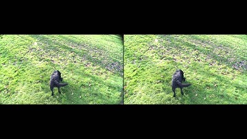 3987 Wide Angle 1 DeFishr1