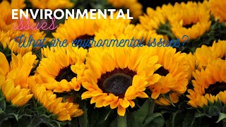 Understanding Environmental Issues | Life Orientation Lesson