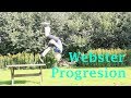 Webster off a ledge progression  2 days