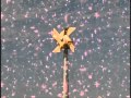 Windmill Stop Spinning BEST QUALITY ON YOUTUBE 