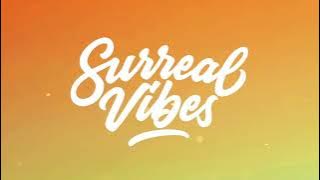 tom grennan- little bit of love (lyrics)