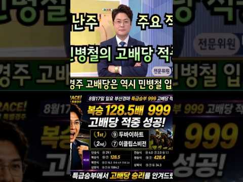 #8월3주차.고배당 적중 내역!