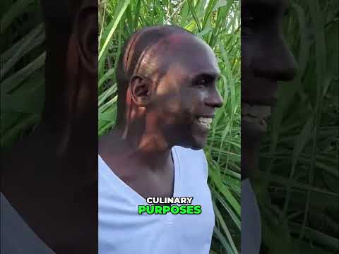 Lemongrass Benefits: Skin, Cooking, and More! #shorts