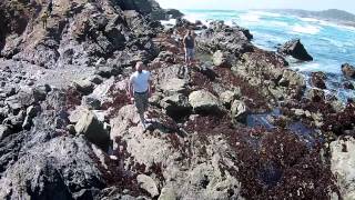 Goff Photo Van Damme & Mendocino Drone Video