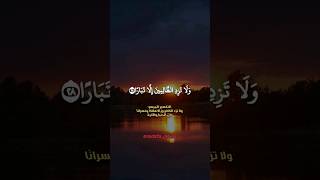 ولا تزد الظالمين إلا تبارا❤️ #سورة_نوح #محمد_البراك #صوت_جميل #تلاوة_خاشعة #قرآن_كريم #الجزائر #دعم