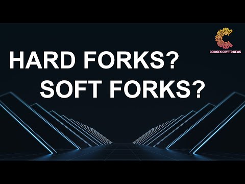 Video: Bom Fork có nguy hiểm không?