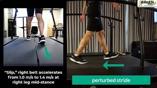 Ucf Brain Lab Treadmill Slip Perturbations