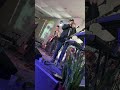 Mahal Pa Rin Kita by Paul Sapiera LIVE In Jacksonville Florida 11/13/22