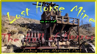 Lost Horse Mine Hall of Horrors Joshua Tree National Park