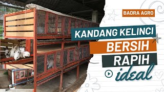 The rabbit cage becomes clean, neat and comfortable