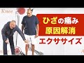 エゴスキュー体操｜膝の痛み解消体操｜膝の痛みの原因と体操のやり方（日本語字幕付き）