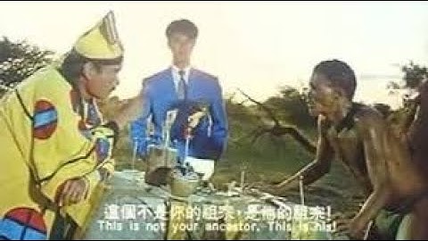 Crazy Safari. The gods must be crazy 3