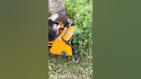 Máy cày xới đất mini máy cắt cỏ nông nghiệp máy tạo luống rãnh đa năng #automobile #farming