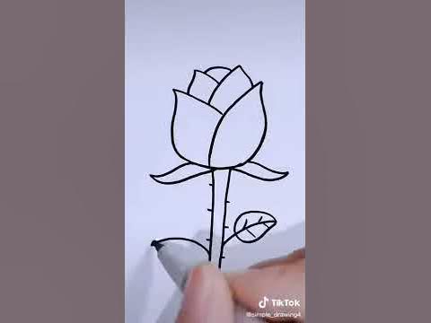 🌹 роза Как се рисува - YouTube