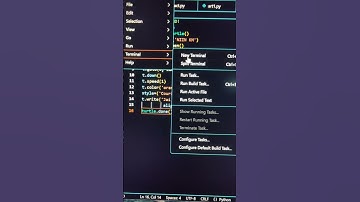 draw shree ram ji using python | VS code #shorts #python