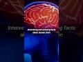 मनुष्य दिमाग से जुड़े रोचक तथ्य | facts about human brain #shorts #youtubeshorts #fact #shortsvideo