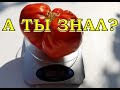 ТОМАТЫ: 6 секретов урожая 🍅🍅🍅