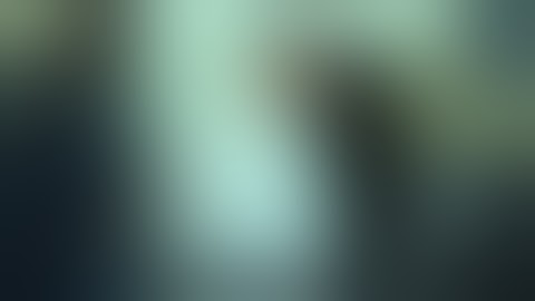 Hall v Dr. Hilbun (State & National Standards)