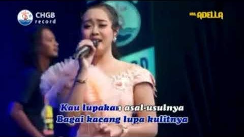 Adella - Tulang Rusuk ( KARAOKE )