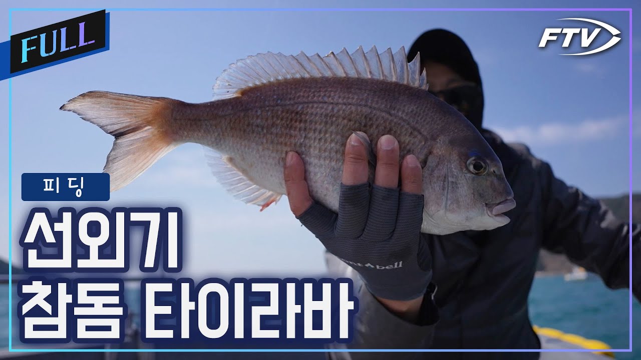 [Full]두 피디의 출조기! 통영 선외기 참돔 타이라바 [피딩/5회]