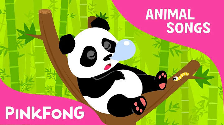 Ni Hao Panda | Panda | Animal Songs | Pinkfong Son...