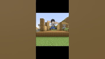 Two Friends, Two Homes: Minecraft Building Challenge