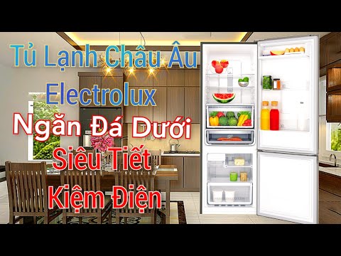 Tủ Lạnh Electrolux 2021 l Review Tủ Lạnh EBB3702K-A l Tủ Lạnh Ngăn Đông Mềm 2021