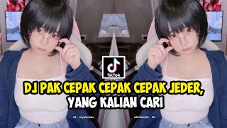 DJ PAK CEPAK CEPAK JEDER || DJ VIRAL TIKTOK 2021 DJ PAK CEPAK CEPAK  JEGER