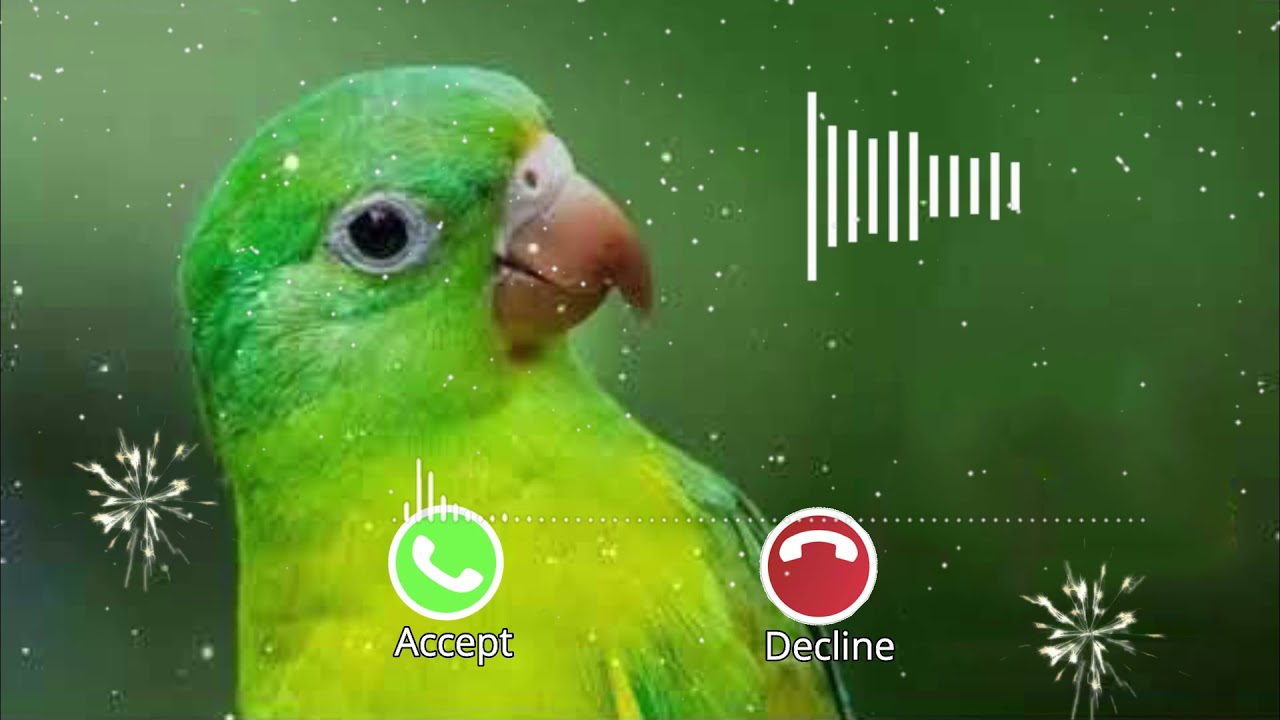 Murga Kukdu Ku LuLuLuLuLu Ringtone Abe Yaar New Message Tone